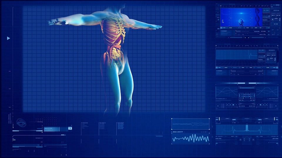 La base d'une bonne santé réside dans la fonction digestive appropriée